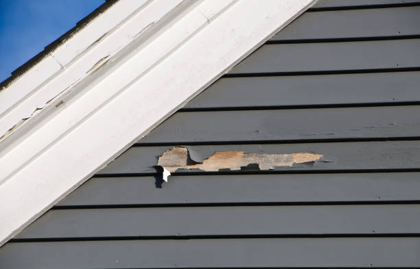 Best Siding Removal and Disposal  in Jennings, MO